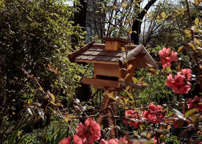 Birdnest Apartment