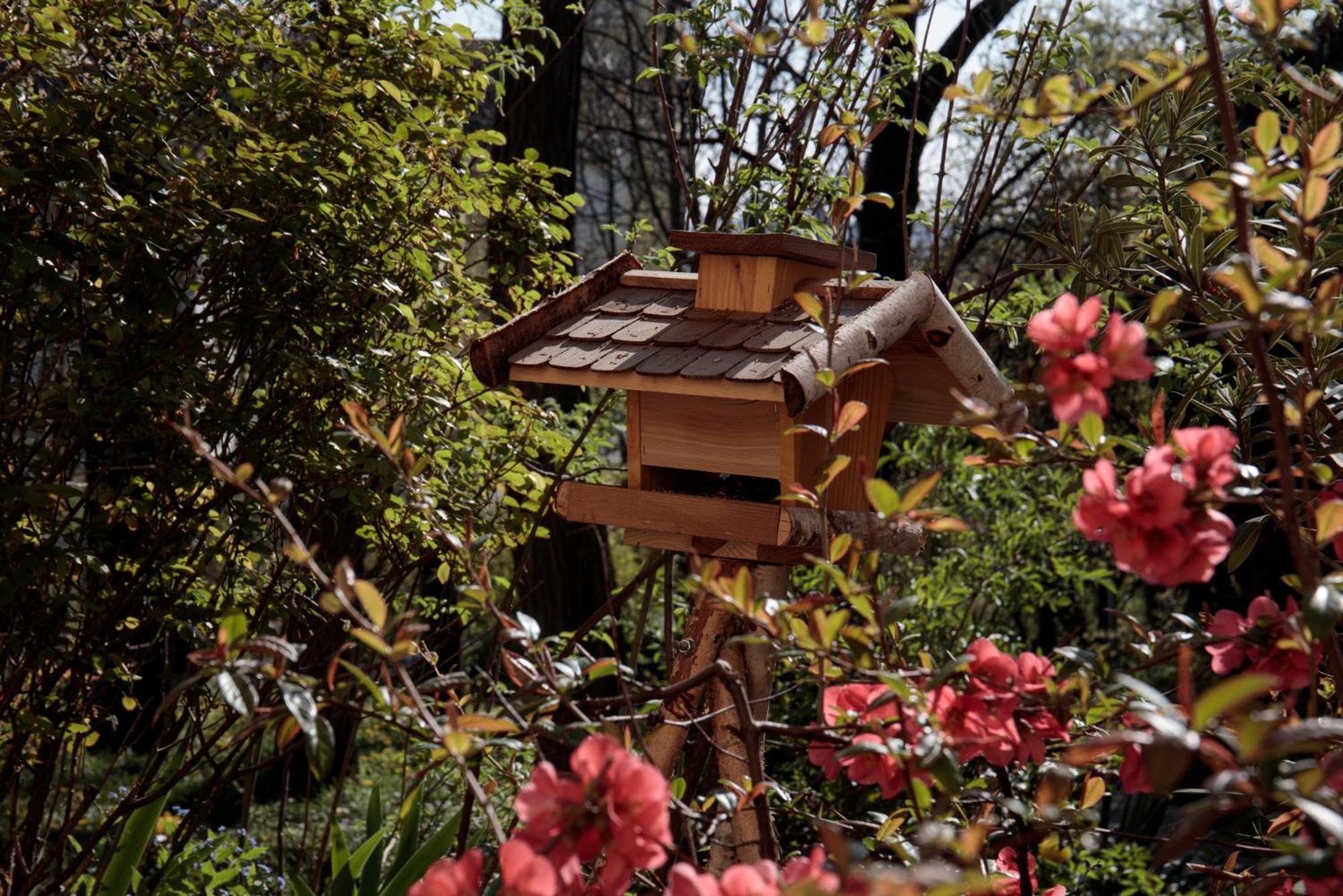 Apartamento Birdnest